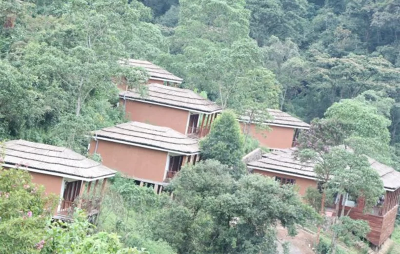 Four Gorillas Lodge