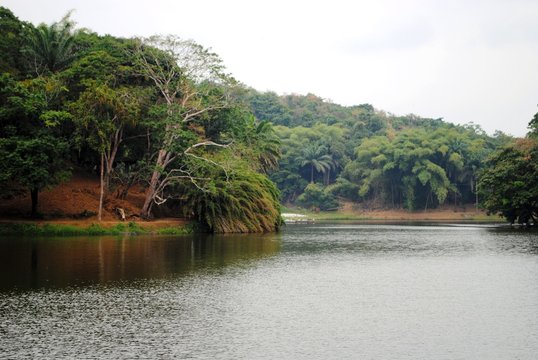 Congo River Lodge