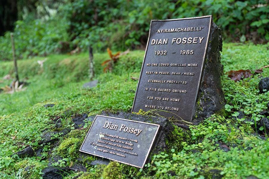Dian-Fossey-3-904x633