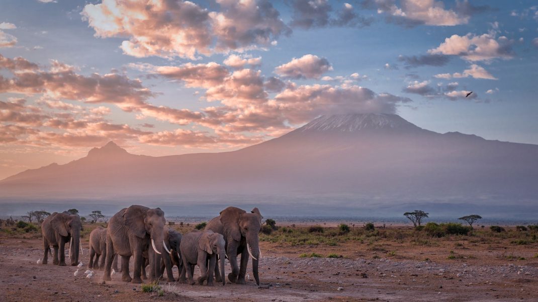 Kilimanjaro National Park1