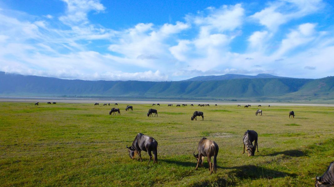 Ngorongoro Conservation Area2