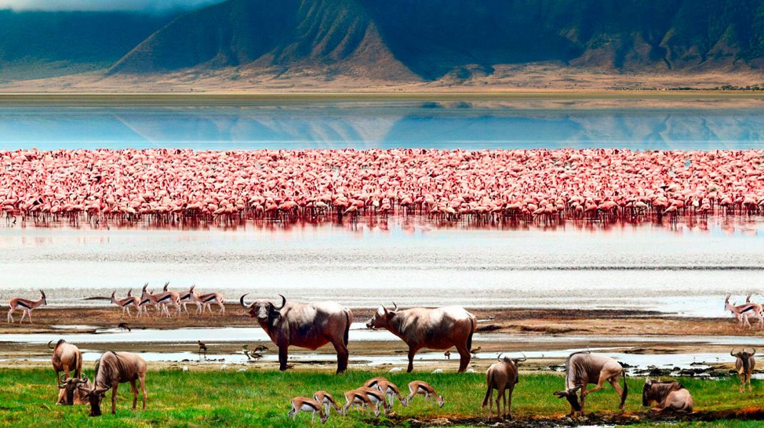 lake-manyara-national-park