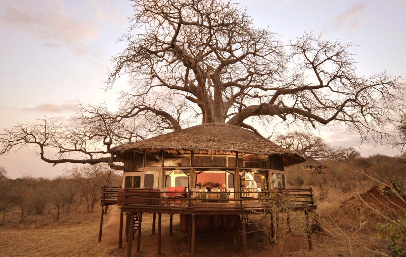 Tarangire Tree Tops